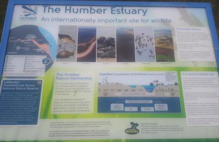 Coastal Annex at Saltfleet - Foto 37