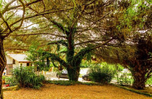 Quinta O Refúgio - Foto 18