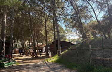 Appartement domaine de Pont Royal - Photo 24