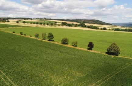 Premium-Ferienhaus Extertal Ferienpark - Natur Erholung Sauna Familie - Foto 28