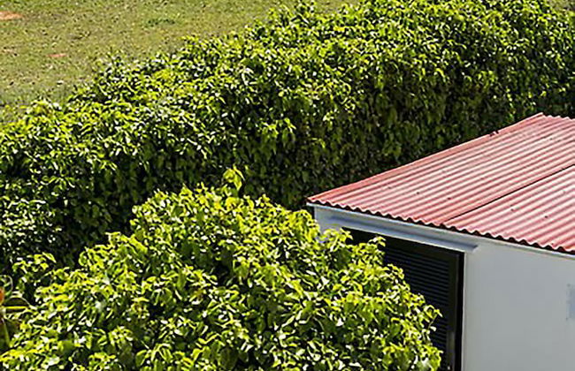 Casas Menorquinas - Foto 35