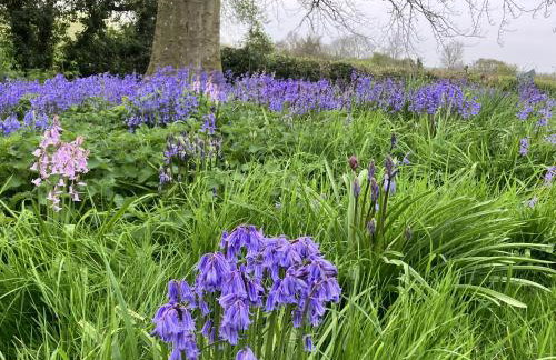 Simpers Drift, Great Glemham - Foto 16