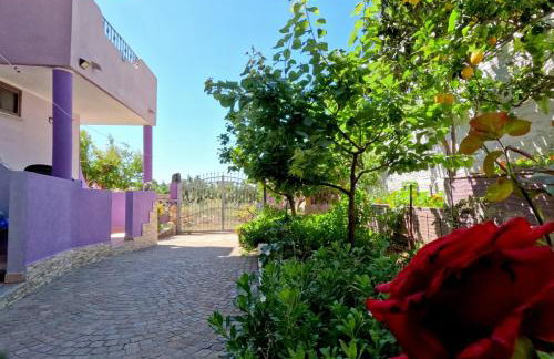 Casa Purple - Foto 6