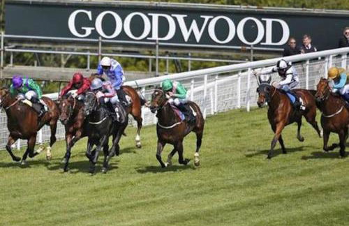 Modern Seaside House with Hot Tub - Foto 20