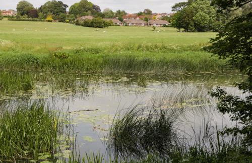 Belview Cottage - Photo 34