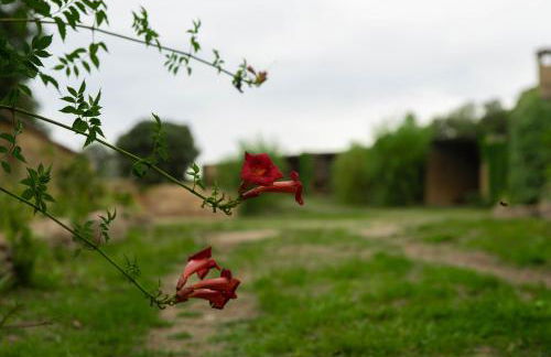 Casa rural Sant Grau turismo saludable y responsable - Foto 43