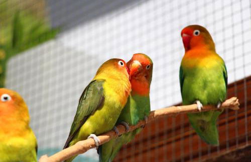 Casa Vista Pájaro - Photo 48