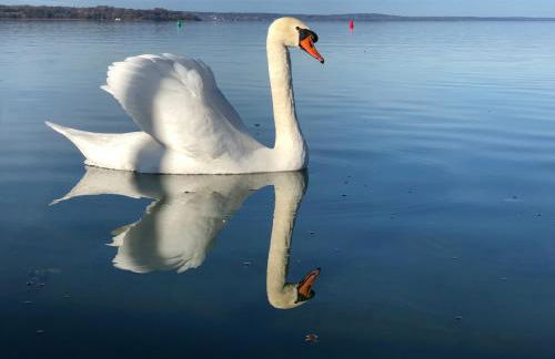 Helle Gartenwohnung, 2 min zum See, in Herrsching - Foto 16