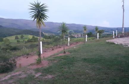 Sítio Santa Terezinha Canastra - Foto 12