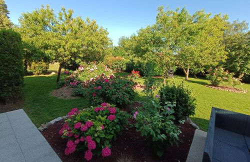 Les lits de la Loire - Photo 38