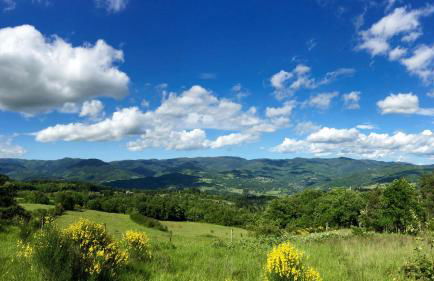 Casa fiordaliso - Foto 48