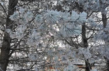 Sielanka, wyjątkowy dom, jacuzzi - Foto 66