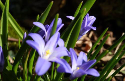 Haus im Kurpark - Foto 31