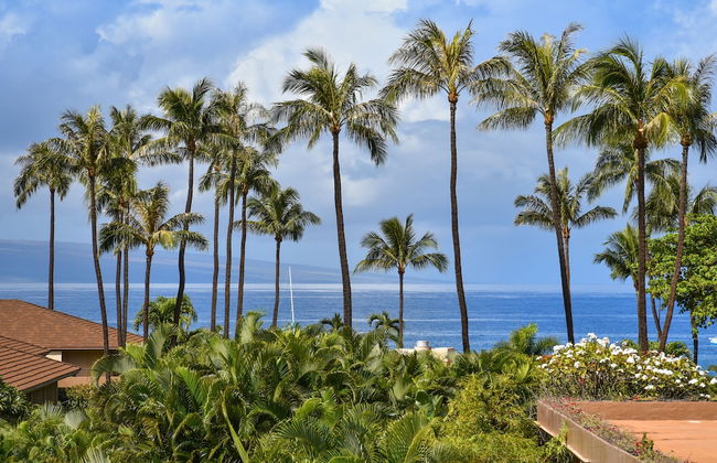 Maui Kaanapali S #a317 Studio Bedroom Condo by RedAwning - Foto 42