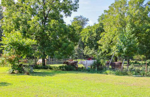 Horses Welcome Marble Falls Home with Grill! - Foto 22