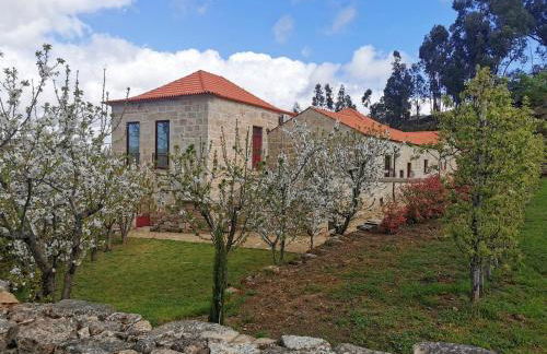 Solar dos Condes da Azenha - Foto 52