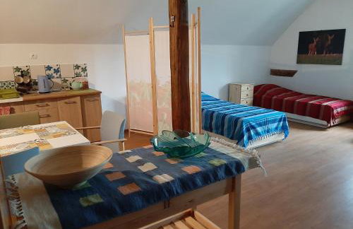 Jabłkowo-na skraju Puszczy Boreckiej ŚNIADANIA W CENIE - Foto 56