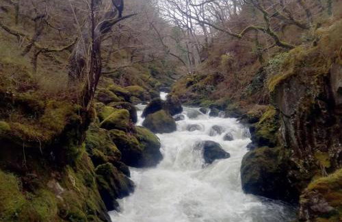 Traditional 19th Century Slate Miners Cottage - Foto 19