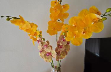 marinella house 2 - Foto 12