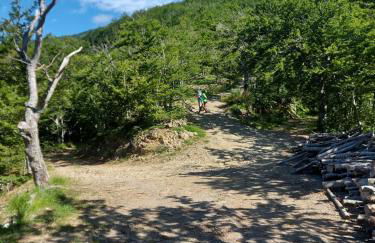 Da Castruccio degli Antelminelli - Foto 33