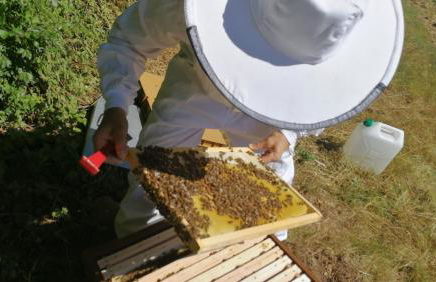 Les Cabanes d'Hestia - Foto 41