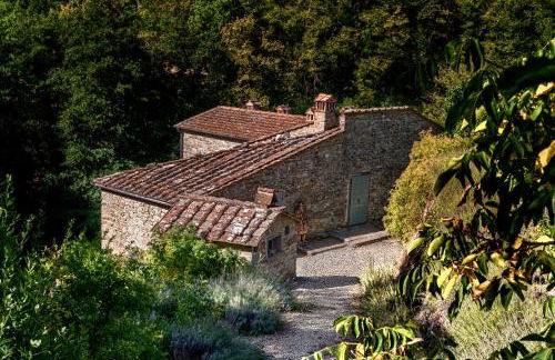 il Friscello - Foto 6