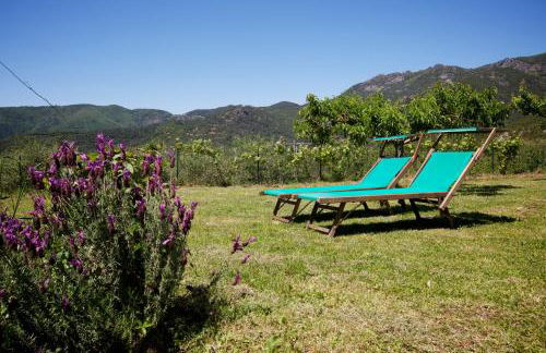 Appartamenti Borgo San Pietro - Foto 73