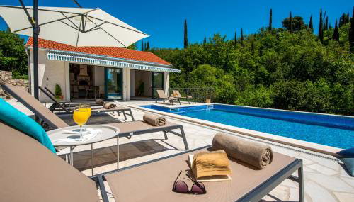 Villa Konavoski Miri - Foto 5