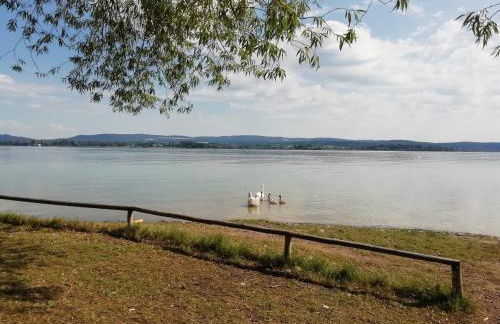 Ferienwohnung Sonnenhalde - Foto 17
