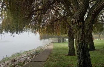 Love Tomar - Foto 50