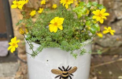 Fairytale Cottage in the Country - Foto 39