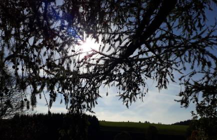 Outdoor & Relax Blackforest - Foto 42