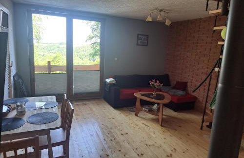 Świerkowy Zakątek u Bacy - Foto 11