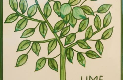 Casa Monte Cristo Apartments - Lime - Foto 1