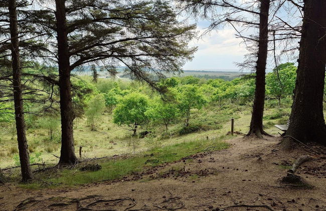Seaside Serenity in Taysinge-by Traum - Foto 17