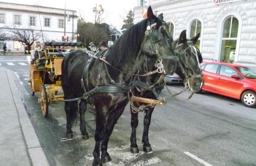 Landhaus Fürberger - Foto 26
