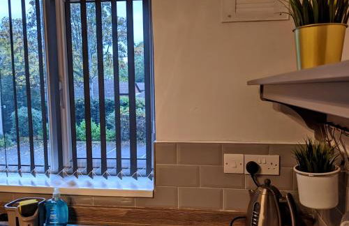 Racecourse Apartment - Foto 5