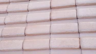 Jardim eden - Foto 4