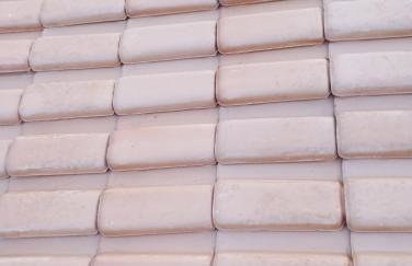 Jardim eden - Foto 4