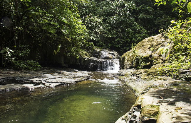 Casa Cedro - Portasol Vacation Rentals - Foto 29