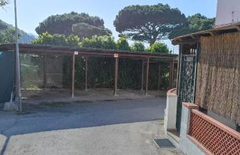 Le Maree Marina - Foto 13