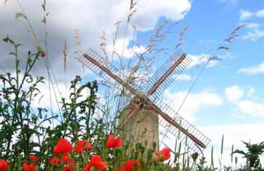 Aux Gîtes d'Orient - Foto 35