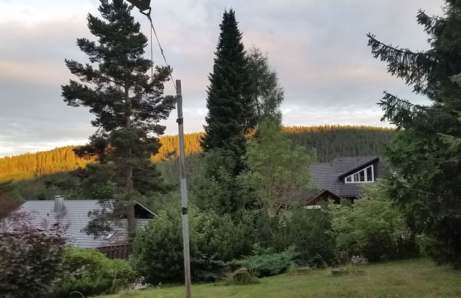 Haus Heidelberg - Foto 69