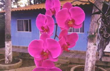 Chacara do Tche - Foto 7