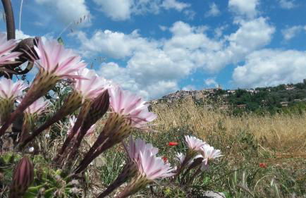 La Ferme Constantin - Foto 76