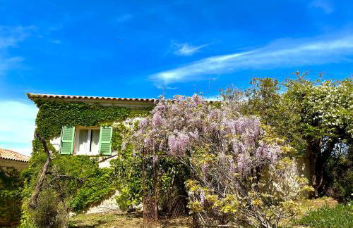 Domaine Victoria - Foto 27