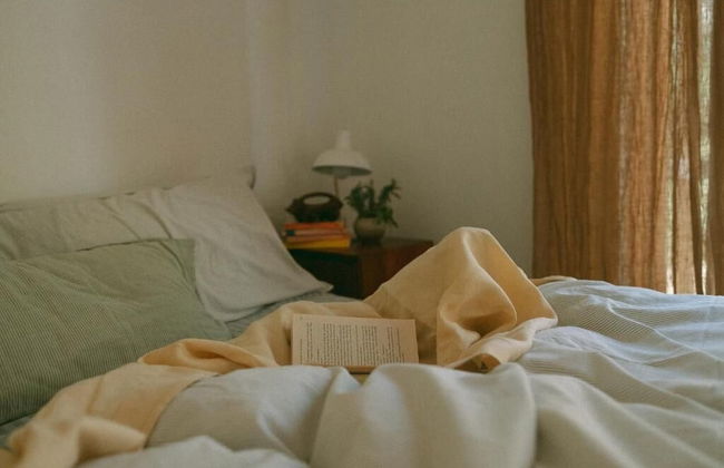 Gum Grove Chalets - Foto 2