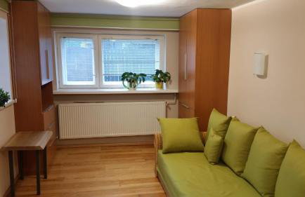 Świnna - Brzozowy Zagajnik - Foto 10