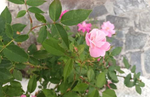 Primrose Home in Georgioupoli - Foto 27