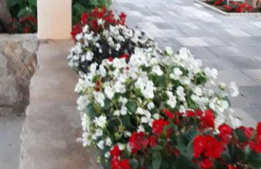 Kuća za odmor Neva - Foto 2